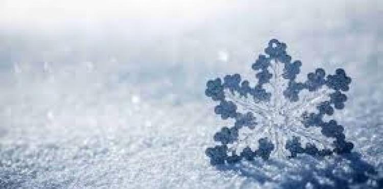 Frio Neve E Vento Forte Previstos Para Os Proximos Dias Radio Brigantia Se você é daqueles que preferia estar aproveitando o frio, dê uma olhada nestas imagens do fotógrafo russo. radio brigantia
